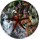 Maligo profile picture