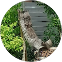 Photo de profil de Jean Claude M.